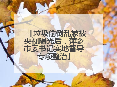 垃圾偷倒乱象被央视曝光后，萍乡市委书记实地督导专项整治
