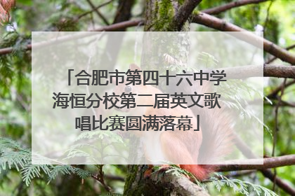 合肥市第四十六中学海恒分校第二届英文歌唱比赛圆满落幕