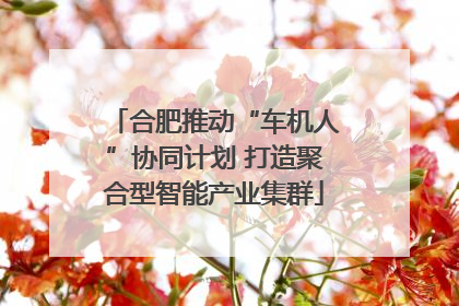 合肥推动“车机人”协同计划 打造聚合型智能产业集群