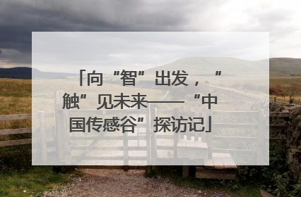 向“智”出发，“触”见未来——“中国传感谷”探访记