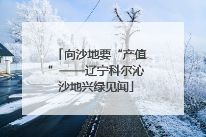 向沙地要“产值”——辽宁科尔沁沙地兴绿见闻