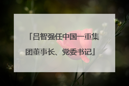 吕智强任中国一重集团董事长、党委书记