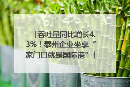 吞吐量同比增长4.3%！泰州企业坐享“家门口就是国际港”