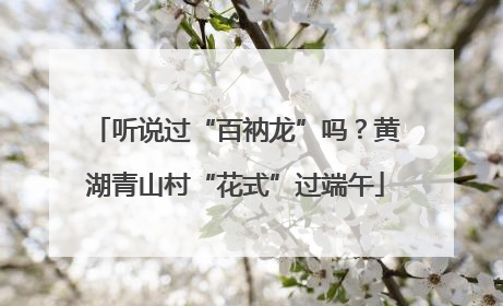 听说过“百衲龙”吗？黄湖青山村“花式”过端午