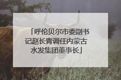 呼伦贝尔市委副书记赵长青调任内蒙古水发集团董事长