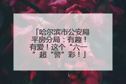 哈尔滨市公安局平房分局：有趣！有爱！这个“六一”超“警”彩！