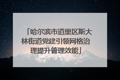 哈尔滨市道里区斯大林街道党建引领网格治理提升管理效能