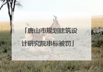 唐山市规划建筑设计研究院串标被罚