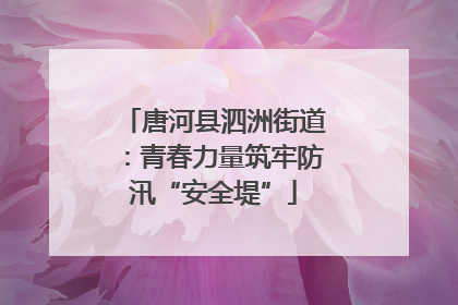 唐河县泗洲街道：青春力量筑牢防汛“安全堤”