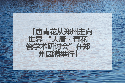 唐青花从郑州走向世界 “大唐・青花瓷学术研讨会”在郑州圆满举行