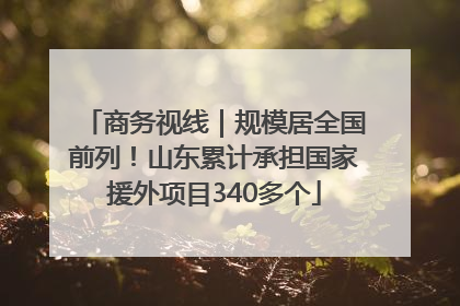 商务视线｜规模居全国前列！山东累计承担国家援外项目340多个