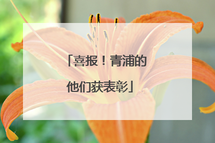 喜报！青浦的他们获表彰