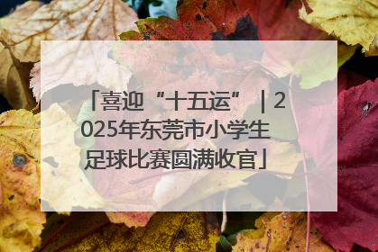 喜迎“十五运”｜2025年东莞市小学生足球比赛圆满收官