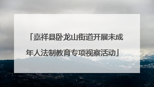 嘉祥县卧龙山街道开展未成年人法制教育专项视察活动