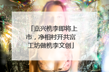 嘉兴槜李即将上市，净相村开共富工坊做槜李文创
