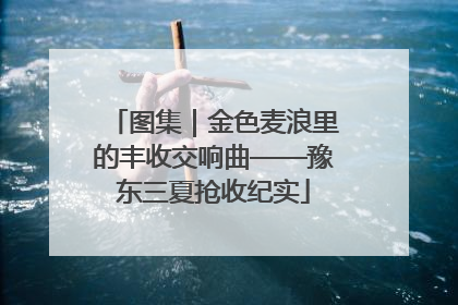 图集｜金色麦浪里的丰收交响曲——豫东三夏抢收纪实