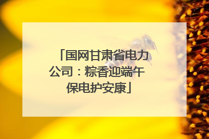 国网甘肃省电力公司：粽香迎端午 保电护安康