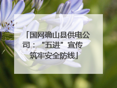 国网确山县供电公司：“五进”宣传 筑牢安全防线