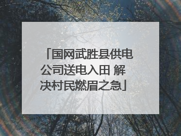 国网武胜县供电公司送电入田 解决村民燃眉之急