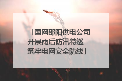 国网邵阳供电公司开展雨后防汛特巡 筑牢电网安全防线