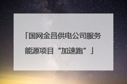 国网金昌供电公司服务能源项目“加速跑”