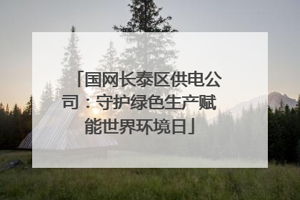 国网长泰区供电公司：守护绿色生产赋能世界环境日
