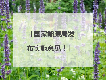 国家能源局发布实施意见！