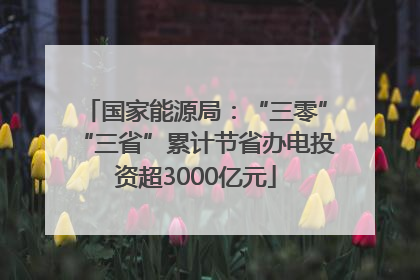 国家能源局：“三零”“三省”累计节省办电投资超3000亿元