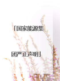 国家能源集团严正声明