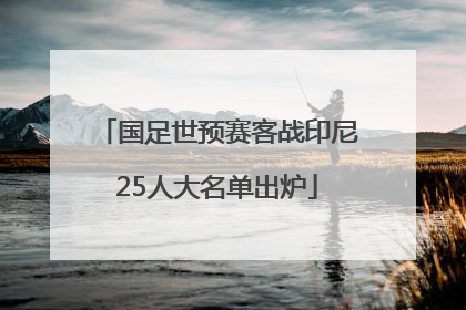 国足世预赛客战印尼25人大名单出炉