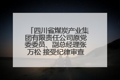 四川省煤炭产业集团有限责任公司原党委委员、副总经理张万松 接受纪律审查和监察调查