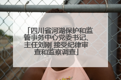 四川省河湖保护和监管事务中心党委书记、主任刘刚 接受纪律审查和监察调查