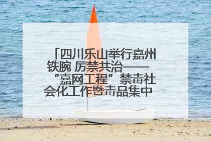 四川乐山举行嘉州铁腕 厉禁共治——“嘉网工程”禁毒社会化工作暨毒品集中销毁启动仪式