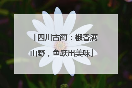 四川古蔺：椒香满山野，鱼跃出美味
