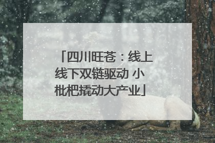 四川旺苍：线上线下双链驱动 小枇杷撬动大产业