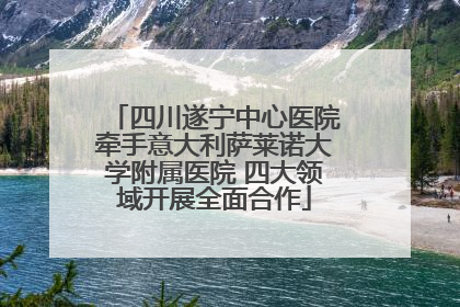 四川遂宁中心医院牵手意大利萨莱诺大学附属医院 四大领域开展全面合作
