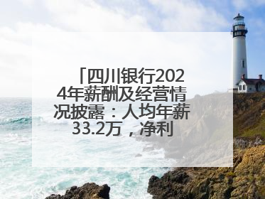 四川银行2024年薪酬及经营情况披露：人均年薪33.2万，净利润突破20亿