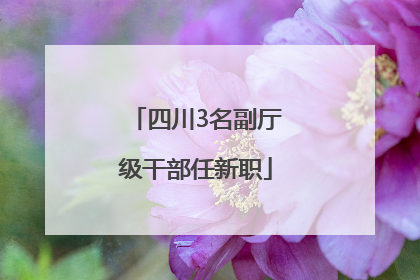 四川3名副厅级干部任新职