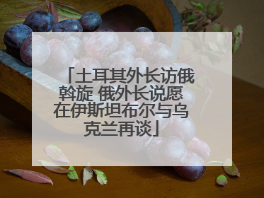 土耳其外长访俄斡旋 俄外长说愿在伊斯坦布尔与乌克兰再谈
