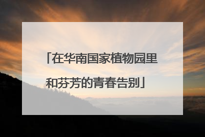 在华南国家植物园里和芬芳的青春告别