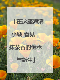 在这座海滨小城 看见一抹茶香的传承与新生