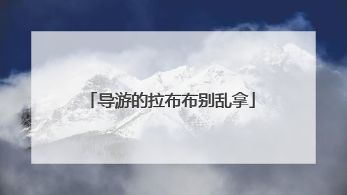 导游的拉布布别乱拿