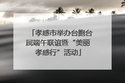孝感市举办台胞台属端午联谊暨“美丽孝感行”活动