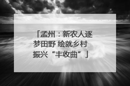 孟州：新农人逐梦田野 绘就乡村振兴“丰收曲”