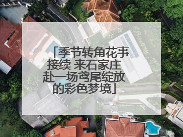 季节转角花事接续 来石家庄赴一场鸢尾绽放的彩色梦境