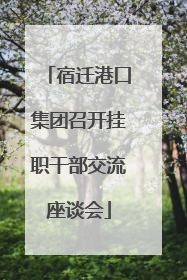 宿迁港口集团召开挂职干部交流座谈会