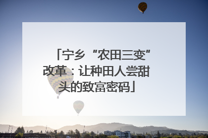宁乡“农田三变”改革：让种田人尝甜头的致富密码
