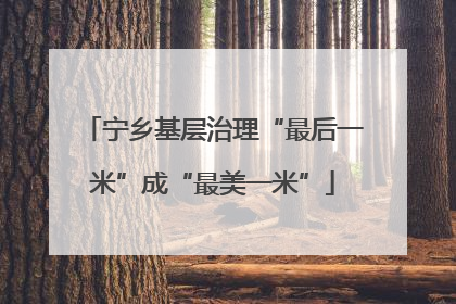 宁乡基层治理“最后一米”成“最美一米”