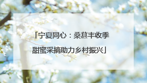 宁夏同心：桑葚丰收季 甜蜜采摘助力乡村振兴
