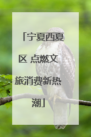 宁夏西夏区 点燃文旅消费新热潮